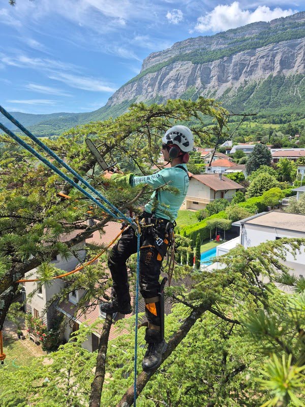 Arboriculteur en train d'élaguer un arbre à la tronçonneuse lors d'un chantier en Savoie